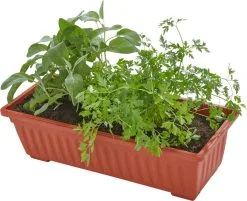 Tectake - Verticaal Plantenrek Met 4 Bakken - 403445 -Bloem Garden Verkoop 1200x975 1