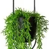 Be Inspired Be-Inspired® Hangende Bloempot Ovaal - Bloempot Binnen - Voor Hangplant – Plant Bloem Pot Met Opknoping – Plantenhanger - Plantenbak - Industrieel – Scandinavisch - Metaal - Zwart