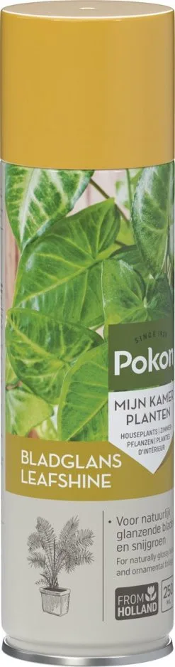 Pokon Bladglans 250ml 15 Pokon Bladglans 250ml -Bloem Garden Verkoop 316x1200
