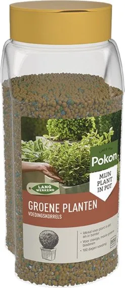 Pokon Voedingskorrels Voor Groene Planten - 800gr - 180 Dagen Voeding - Plantenvoeding -Bloem Garden Verkoop 524x1200