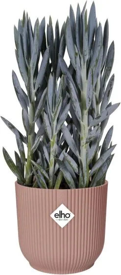 Elho Vibes Fold Rond Wielen 35 - Bloempot Voor Binnen - Ø 34.9 X H 32.4 Cm - Delicaat Roze -Bloem Garden Verkoop 531x1200 3