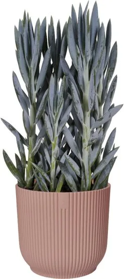 Elho Vibes Fold Rond Wielen 35 - Bloempot Voor Binnen - Ø 34.9 X H 32.4 Cm - Delicaat Roze -Bloem Garden Verkoop 533x1200 1