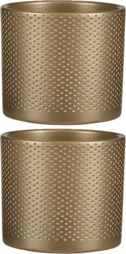 Mica Decorations 2x Stuks Bloempot In Kleur Relief Goud Keramiek Voor Kamerplant H12.5 X D13.5 Cm- Plantenpotten Binnen