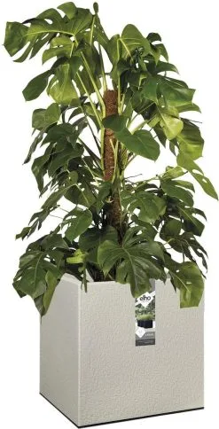 Elho Vivo Structure Finish Vierkant 40 - Plantenbak Voor Binnen & Buiten - Ø 39 X H 41 - Grijs/Warm Grijs 16 Elho Vivo Structure Finish Vierkant 40 - Plantenbak Voor Binnen & Buiten - Ø 39 X H 41 - Grijs/Warm Grijs -Bloem Garden Verkoop 613x1200