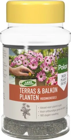 Pokon Voedingskegels Voor Terras- & Balkonplanten - 40 Stuks - 180 Dagen Voeding - Plantenvoeding -Bloem Garden Verkoop 616x1200 1