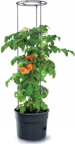 TOMATENPOT VOOR HET KWEKEN VAN TOMATEN PROSPERPLAST 28L 9 TOMATENPOT VOOR HET KWEKEN VAN TOMATEN PROSPERPLAST 28L -Bloem Garden Verkoop 621x1200