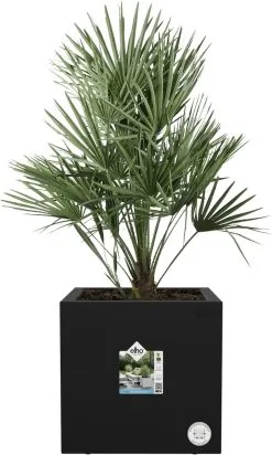 Elho Vivo Next Vierkant 40 - Plantenbak Voor Binnen & Buiten - Ø 39.0 X H 37.9 Cm - Zwart/Living Black -Bloem Garden Verkoop 720x1200 2