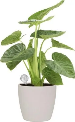 Elho Aqua Care 9 - Accessoires Voor Binnenaccessoires - Ø 17.3 X H 32.0 Cm - Transparant/Transparant -Bloem Garden Verkoop 737x1200