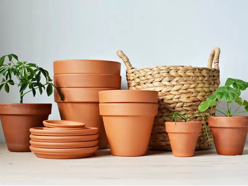 Bloem Garden Verkoop 3 Bloem Garden Verkoop -Bloem Garden Verkoop 78788