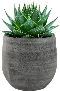 Steege Pot Esra Mystic Grey Bloempot Binnen 15 Cm -Bloem Garden Verkoop 789x1200