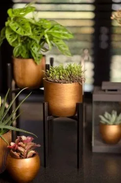 Capi Europe - Bloempot Bol Retro - 23x21 - Goud - Bloempot Voor Binnen - BRTG134 -Bloem Garden Verkoop 792x1200