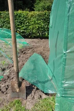 Royal Well Tunnelkas Silver Rocket D12 -Bloem Garden Verkoop 797x1200