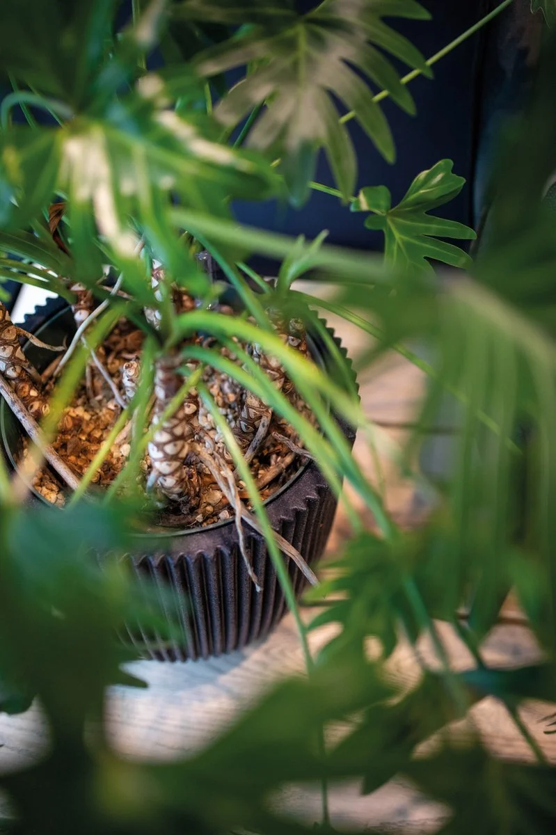 Capi Europe - Bloempot Bol Groove NL - 43x41 - Zwart - Voor Binnen En Buiten - KGVBL933 3 Capi Europe - Bloempot Bol Groove NL - 43x41 - Zwart - Voor Binnen En Buiten - KGVBL933 - Afbeelding 3