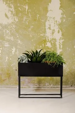 SENZA Rechthoekige Plantenbak - Bloemenbak Ijzer - 42.5 X 34cm - Zwart -Bloem Garden Verkoop 800x1200 103
