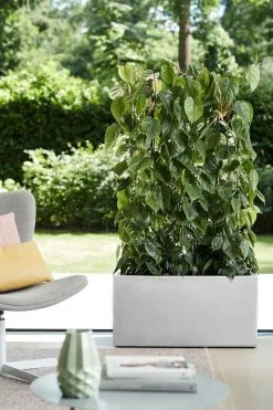 Elho Vivo Structure Finish Lang 90 - Plantenbak Voor Binnen & Buiten - Ø 88 X H 41 - Wit -Bloem Garden Verkoop 800x1200 104