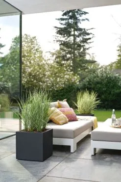 Elho Vivo Next Vierkant 40 - Plantenbak Voor Binnen & Buiten - Ø 39.0 X H 37.9 Cm - Zwart/Living Black -Bloem Garden Verkoop 800x1200 106