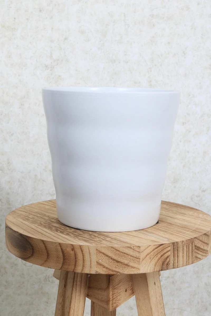 WLplants WL Plants - Bloempot Binnen - Set Van 4 - Dawn Ø12 Wit - Luxe Bloempotten Voor Binnen - Bloempotten Voor Buiten - Bloembak & Plantenpot - Hoogte 12,5 Cm - Keramisch Met Hoogwaardige Afwerking 2 WLplants WL Plants - Bloempot Binnen - Set Van 4 - Dawn Ø12 Wit - Luxe Bloempotten Voor Binnen - Bloempotten Voor Buiten - Bloembak & Plantenpot - Hoogte 12,5 Cm - Keramisch Met Hoogwaardige Afwerking - Afbeelding 2