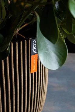 Capi Europe - Bloempot Bol Groove NL - 35x34 - Goud - Voor Binnen En Buiten - KGVGB932 -Bloem Garden Verkoop 800x1200 4