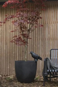 Capi Europe - Bloempot Bol Smooth NL - 43x41 - Zwart - Voor Binnen En Buiten - KBL933 22 Capi Europe - Bloempot Bol Smooth NL - 43x41 - Zwart - Voor Binnen En Buiten - KBL933 -Bloem Garden Verkoop 800x1200 42