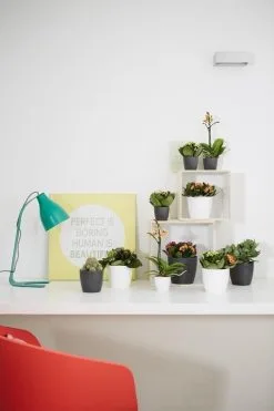 Elho B.for Soft Rond 30 - Bloempot Voor Binnen - Ø 29.5 X H 27.6 Cm - Antraciet 13 Elho B.for Soft Rond 30 - Bloempot Voor Binnen - Ø 29.5 X H 27.6 Cm - Antraciet -Bloem Garden Verkoop 800x1200 44