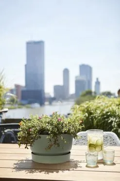 Elho Greenville Schaal 33 - Bloempot Voor Buiten - Ø 32.5 X H 19.4 Cm - Groen/Blad Groen -Bloem Garden Verkoop 800x1200 55