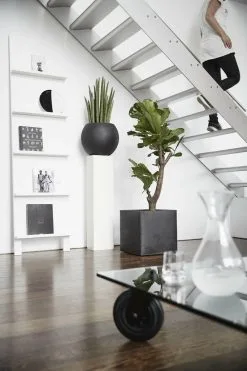 Capi Europe - Bloempot Vierkant Smooth NL - 30x30x30 - Zwart - Voor Binnen En Buiten - KBL902 -Bloem Garden Verkoop 800x1200 57