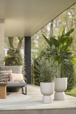 Elho Pure Coupe 41 - Bloempot Voor Binnen & Buiten - Ø 41.3 X H 57.9 Cm - Beige/Balanced Beige -Bloem Garden Verkoop 800x1200 65