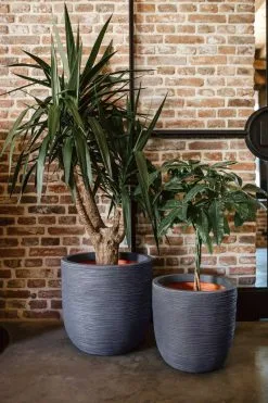 Capi Europe - Bloempot Bol Rib NL - 35x34 - Ivoor - Voor Binnen En Buiten - KOFI932 -Bloem Garden Verkoop 800x1200 67