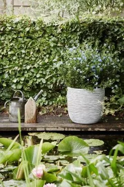 Capi Europe - Bloempot Bol Rib NL - 35x34 - Ivoor - Voor Binnen En Buiten - KOFI932 -Bloem Garden Verkoop 800x1200 69