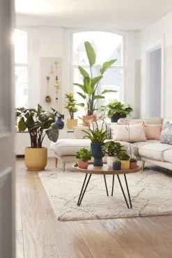 Elho Vibes Fold Rond Wielen 35 - Bloempot Voor Binnen - Ø 34.9 X H 32.4 Cm - Delicaat Roze -Bloem Garden Verkoop 800x1200 73