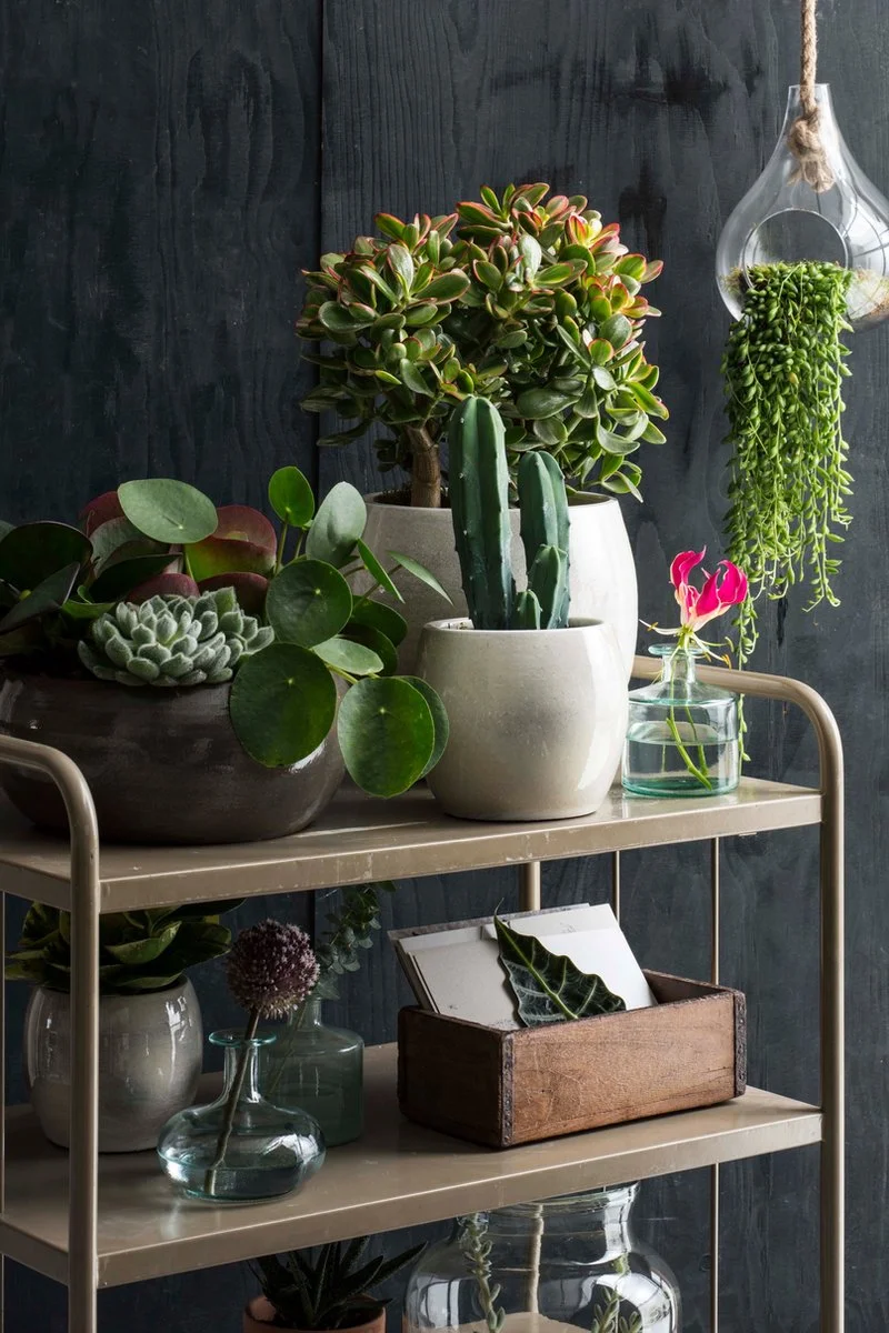 Mica Decorations Lester Bloempot - H18 X Ø20 Cm - Terracotta - Groen 3 Mica Decorations Lester Bloempot - H18 X Ø20 Cm - Terracotta - Groen - Afbeelding 3