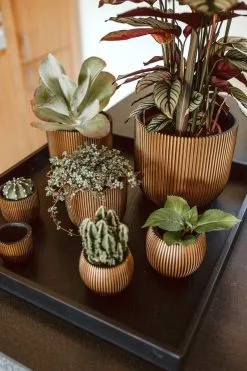 Capi Europe - Bloempot Bol Groove - 23x21 - Goud - Bloempot Voor Binnen - BGVGB134 -Bloem Garden Verkoop 800x1200 83