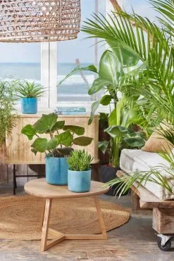 Elho The Ocean Collection Round 22cm - Bloempot Voor Binnen - 100% Gerecycled Materiaal - Gemaakt Met Zeeafval - Ø 22.3 X H 20.4 Cm - Atlantisch Blauw -Bloem Garden Verkoop 800x1200 84