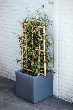 Capi Europe - Bloempot Vierkant Smooth NL - 40x40x40 - Zwart - Voor Binnen En Buiten - KBL903 -Bloem Garden Verkoop 800x1200 91