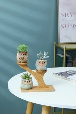 PlantCerra Luxe Bamboe Houten Boom Met 3 Keramiek Uil Bloempotten/Plantenpotten Op Standaard/Voet Voor Binnen En Buiten - Modern Design Bloempot/Plantenpot Op Poten/Pootjes-Plantenbak Mini Cactus Nep Plant Pot Houder - Kleine Bloembakken Plantenrek/Plantenkurk -Bloem Garden Verkoop 800x1200 97