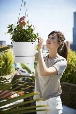 Elho Greenville Hangschaal 24 - Bloempot Voor Balkonbuiten - Ø 23.5 X H 20.5 Cm - Zwart/Living Black -Bloem Garden Verkoop 801x1200 1