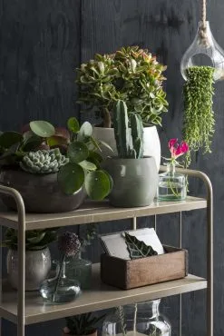 Mica Decorations Lester Bloempot - H31 X Ø33 Cm - Terracotta - Groen -Bloem Garden Verkoop 801x1200 2