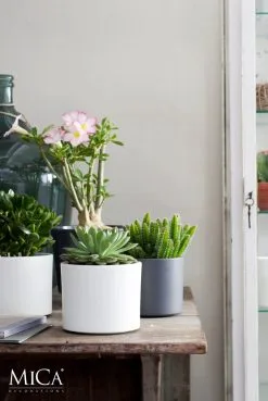 Mica Decorations Era Bloempot - H26 X Ø28 Cm - Wit -Bloem Garden Verkoop 803x1200 3