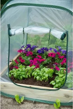 Nature - Tuinbroeikas Pop-up - 100 X 100 X 100cm - Vierkante Meter Tuin 13 Nature - Tuinbroeikas Pop-up - 100 X 100 X 100cm - Vierkante Meter Tuin -Bloem Garden Verkoop 806x1200 2