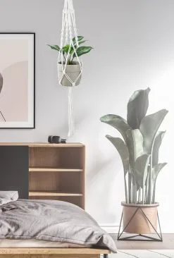 Mycramé 4 Stuks Luxe Macrame Plantenhangers - Boho Handgeweven Katoen Hangpot Voor Binnen/Buiten - Hangende Bloempot Met Kralen - Macramé Touw/Koord Hangplant Houder - Bohemian Wandhanger Decoratie - Plant Hanger - Verticale Tuin Bloempothouder Planthanger 21 Mycramé 4 Stuks Luxe Macrame Plantenhangers - Boho Handgeweven Katoen Hangpot Voor Binnen/Buiten - Hangende Bloempot Met Kralen - Macramé Touw/Koord Hangplant Houder - Bohemian Wandhanger Decoratie - Plant Hanger - Verticale Tuin Bloempothouder Planthanger -Bloem Garden Verkoop 809x1200 1