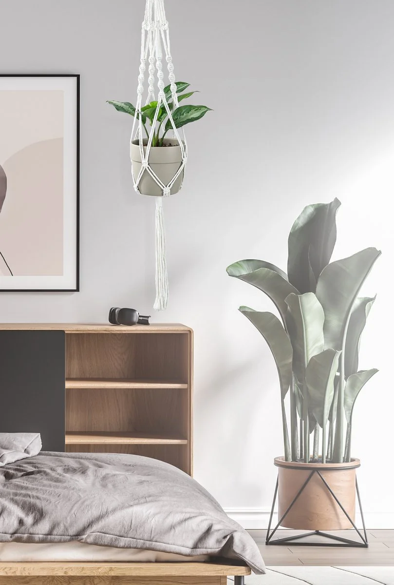 Mycramé 4 Stuks Luxe Macrame Plantenhangers - Boho Handgeweven Katoen Hangpot Voor Binnen/Buiten - Hangende Bloempot Met Kralen - Macramé Touw/Koord Hangplant Houder - Bohemian Wandhanger Decoratie - Plant Hanger - Verticale Tuin Bloempothouder Planthanger 11 Mycramé 4 Stuks Luxe Macrame Plantenhangers - Boho Handgeweven Katoen Hangpot Voor Binnen/Buiten - Hangende Bloempot Met Kralen - Macramé Touw/Koord Hangplant Houder - Bohemian Wandhanger Decoratie - Plant Hanger - Verticale Tuin Bloempothouder Planthanger - Afbeelding 11