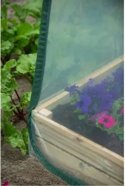 Nature - Tuinbroeikas Pop-up - 100 X 100 X 100cm - Vierkante Meter Tuin 15 Nature - Tuinbroeikas Pop-up - 100 X 100 X 100cm - Vierkante Meter Tuin -Bloem Garden Verkoop 810x1200