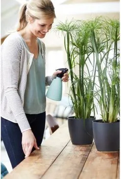 Elho Brussels Sprayer 12 - Plantenspuit Voor Binnen - Ø 11.3 X H 22.3 Cm - Groen/Mint 7 Elho Brussels Sprayer 12 - Plantenspuit Voor Binnen - Ø 11.3 X H 22.3 Cm - Groen/Mint -Bloem Garden Verkoop 813x1200