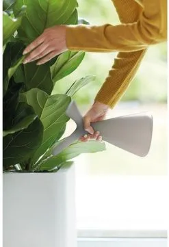 Elho Plunge Gieter 20 - Gieter Voor Binnenaccessoires - Ø 15.0 X H 29.5 Cm - Grijs/Warm Grijs 8 Elho Plunge Gieter 20 - Gieter Voor Binnenaccessoires - Ø 15.0 X H 29.5 Cm - Grijs/Warm Grijs -Bloem Garden Verkoop 820x1200 8