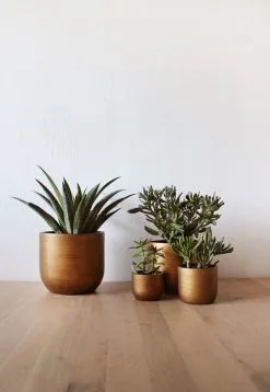 Capi Europe - Set Van 4 - Bloempot Binnen - Retro - - Goud - Bloempot Voor Binnen - BOX-BRTG-4 -Bloem Garden Verkoop 829x1200