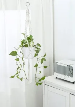 Mycramé 4 Stuks Luxe Macrame Plantenhangers - Boho Handgeweven Katoen Hangpot Voor Binnen/Buiten - Hangende Bloempot Met Kralen - Macramé Touw/Koord Hangplant Houder - Bohemian Wandhanger Decoratie - Plant Hanger - Verticale Tuin Bloempothouder Planthanger 19 Mycramé 4 Stuks Luxe Macrame Plantenhangers - Boho Handgeweven Katoen Hangpot Voor Binnen/Buiten - Hangende Bloempot Met Kralen - Macramé Touw/Koord Hangplant Houder - Bohemian Wandhanger Decoratie - Plant Hanger - Verticale Tuin Bloempothouder Planthanger -Bloem Garden Verkoop 841x1200