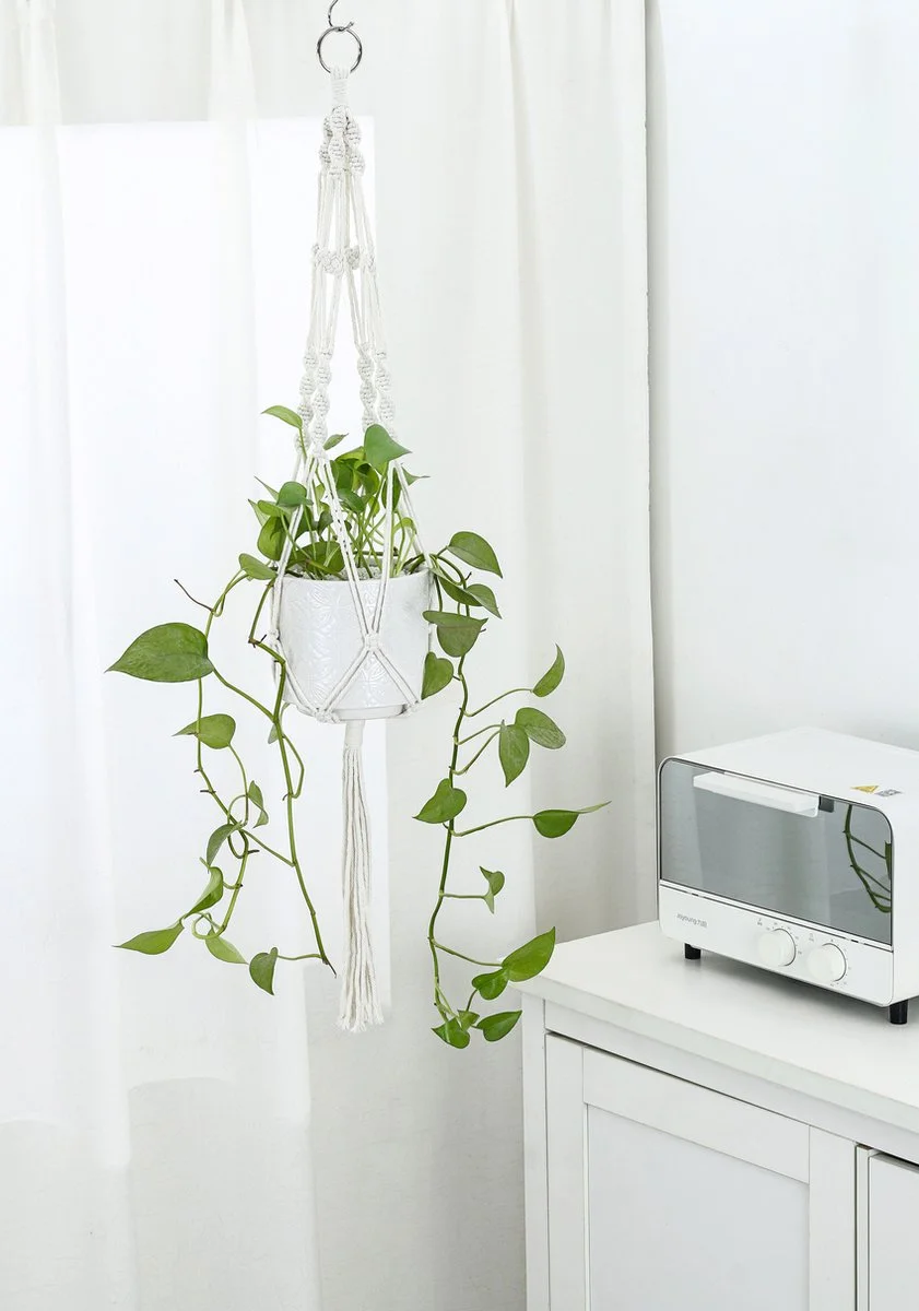 Mycramé 4 Stuks Luxe Macrame Plantenhangers - Boho Handgeweven Katoen Hangpot Voor Binnen/Buiten - Hangende Bloempot Met Kralen - Macramé Touw/Koord Hangplant Houder - Bohemian Wandhanger Decoratie - Plant Hanger - Verticale Tuin Bloempothouder Planthanger 9 Mycramé 4 Stuks Luxe Macrame Plantenhangers - Boho Handgeweven Katoen Hangpot Voor Binnen/Buiten - Hangende Bloempot Met Kralen - Macramé Touw/Koord Hangplant Houder - Bohemian Wandhanger Decoratie - Plant Hanger - Verticale Tuin Bloempothouder Planthanger - Afbeelding 9