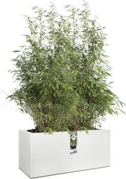 Elho Vivo Structure Finish Lang 90 - Plantenbak Voor Binnen & Buiten - Ø 88 X H 41 - Wit -Bloem Garden Verkoop 842x1200