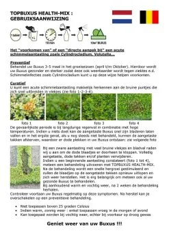 Topbuxus Buxus Health Mix -Bloem Garden Verkoop 848x1200