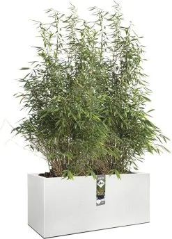 Elho Vivo Structure Finish Lang 90 - Plantenbak Voor Binnen & Buiten - Ø 88 X H 41 - Wit -Bloem Garden Verkoop 862x1200